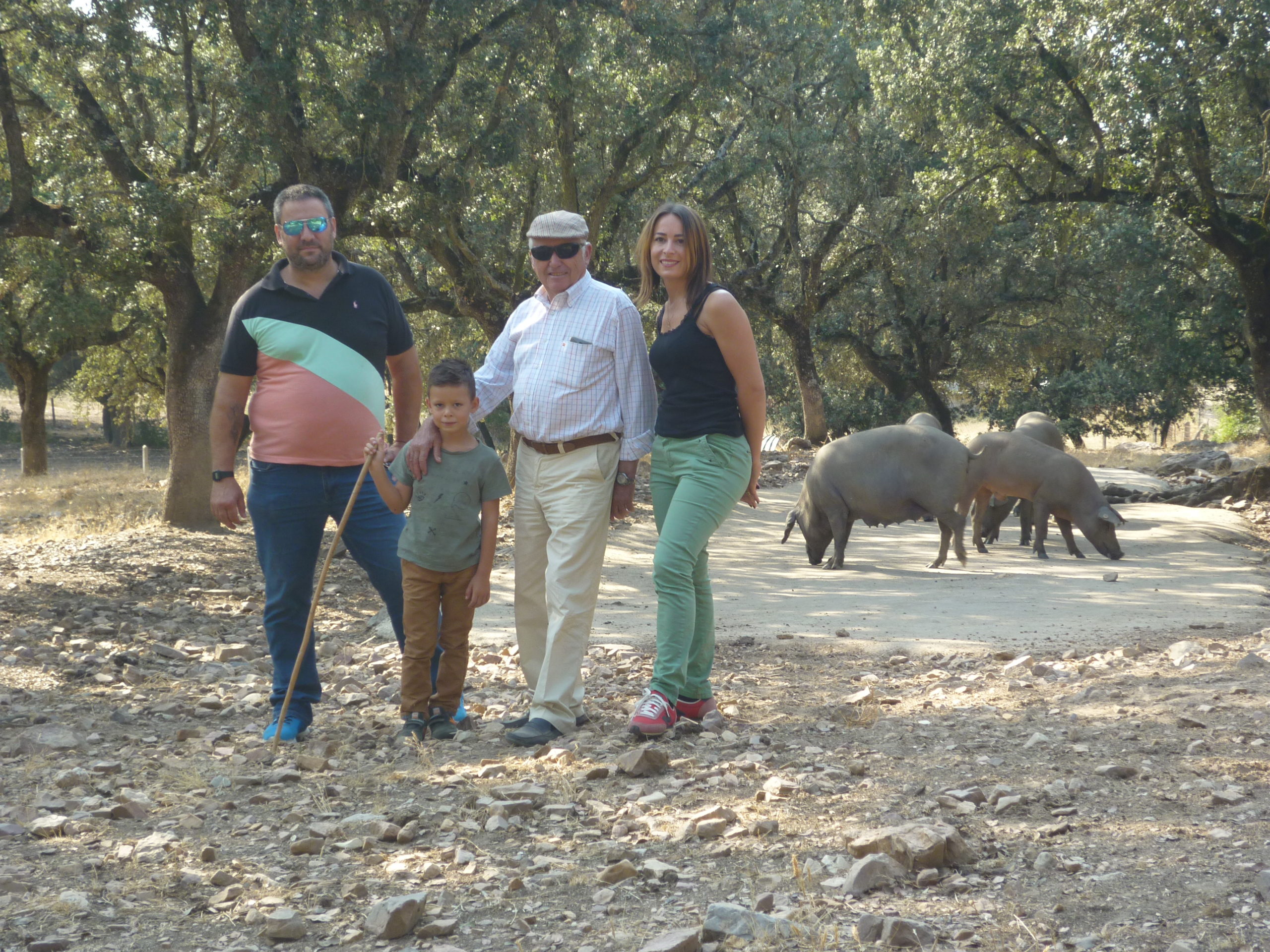 Famille Riopedre passion familiale pour les porcs ibériques dans la région de Salamanque en Espagne